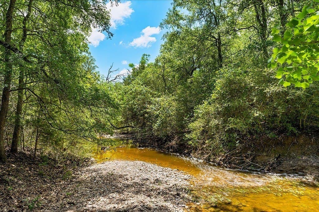 100.82 acres in Fayette County - photo 12