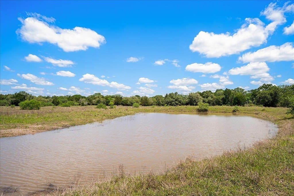 100.82 acres in Fayette County - photo 9