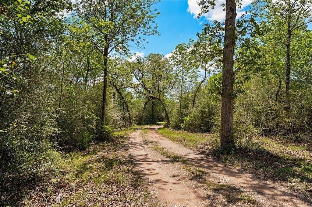 100.82 acres in Fayette County - photo 6