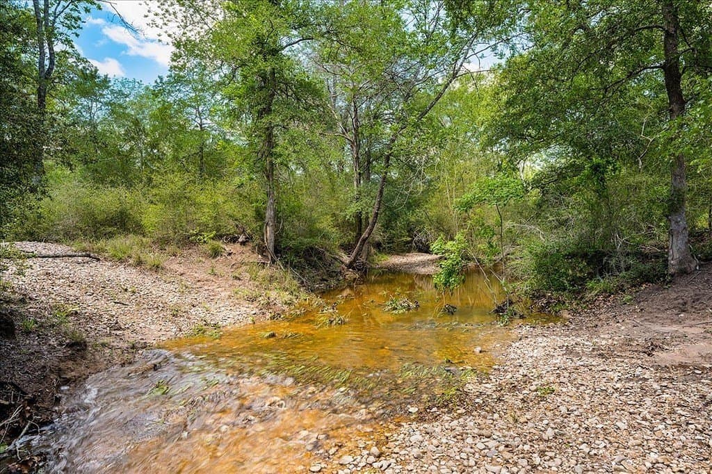 100.82 acres in Fayette County - photo 11