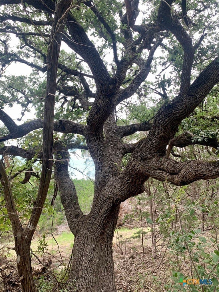 0.41 acres in Comal County featured view