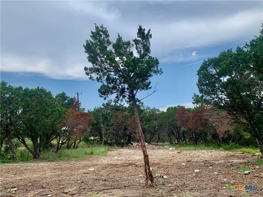 0.41 acres in Comal County - photo 7