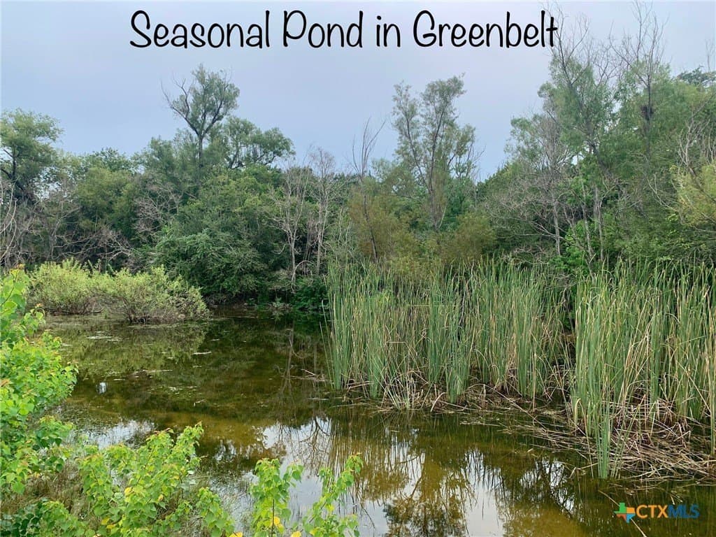 0.41 acres in Comal County - photo 10