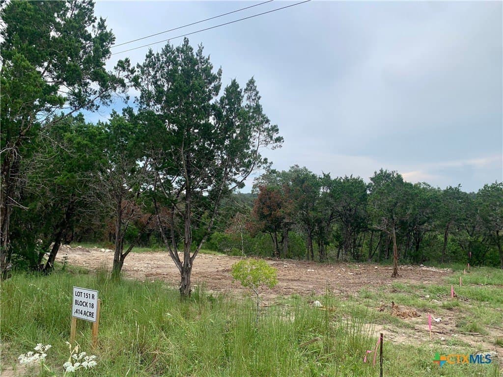 0.41 acres in Comal County gallery image 2