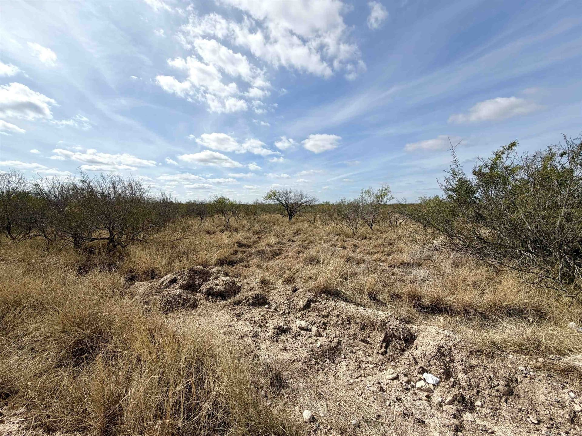 2 acres in Webb County gallery image 4