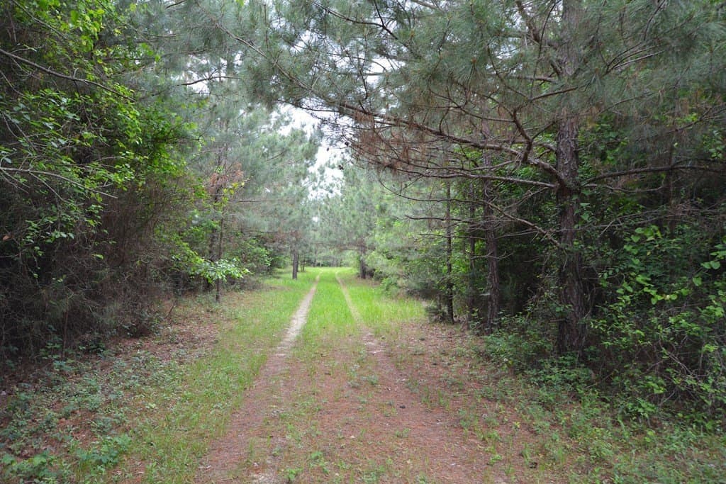 173 acres in Texas County featured view