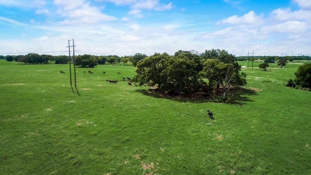 29 acres in Kaufman County - photo 7