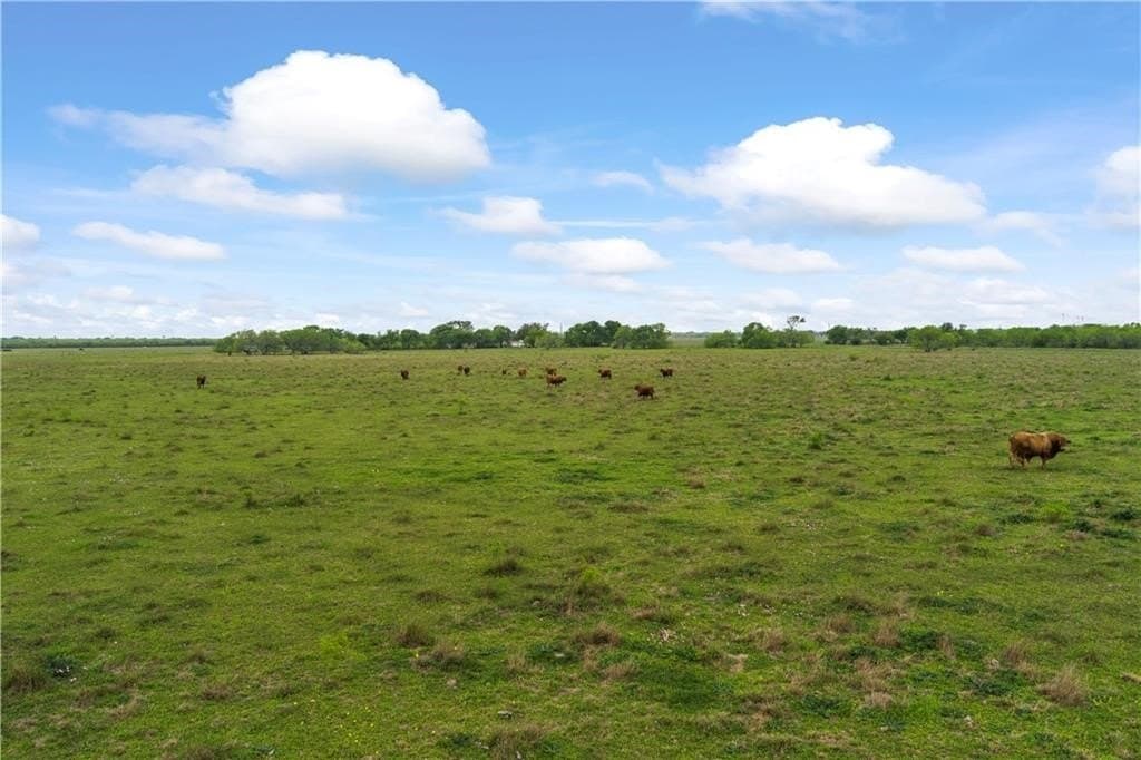 11.25 acres in Kleberg County