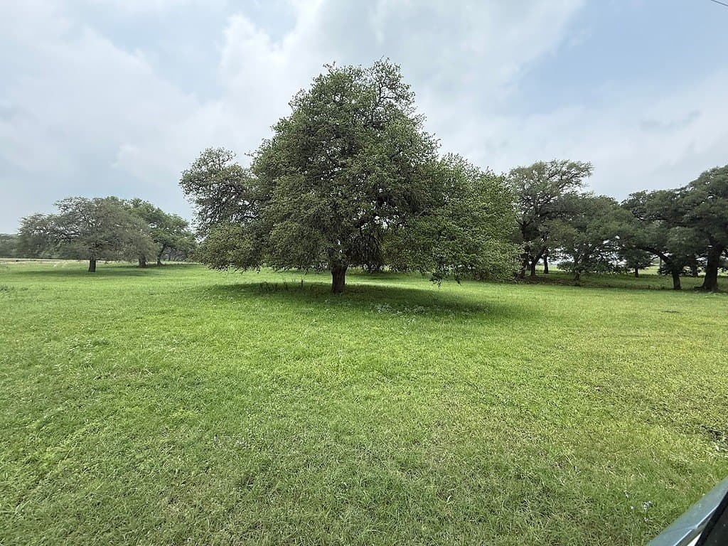 46.98 acres in Fayette County - photo 22