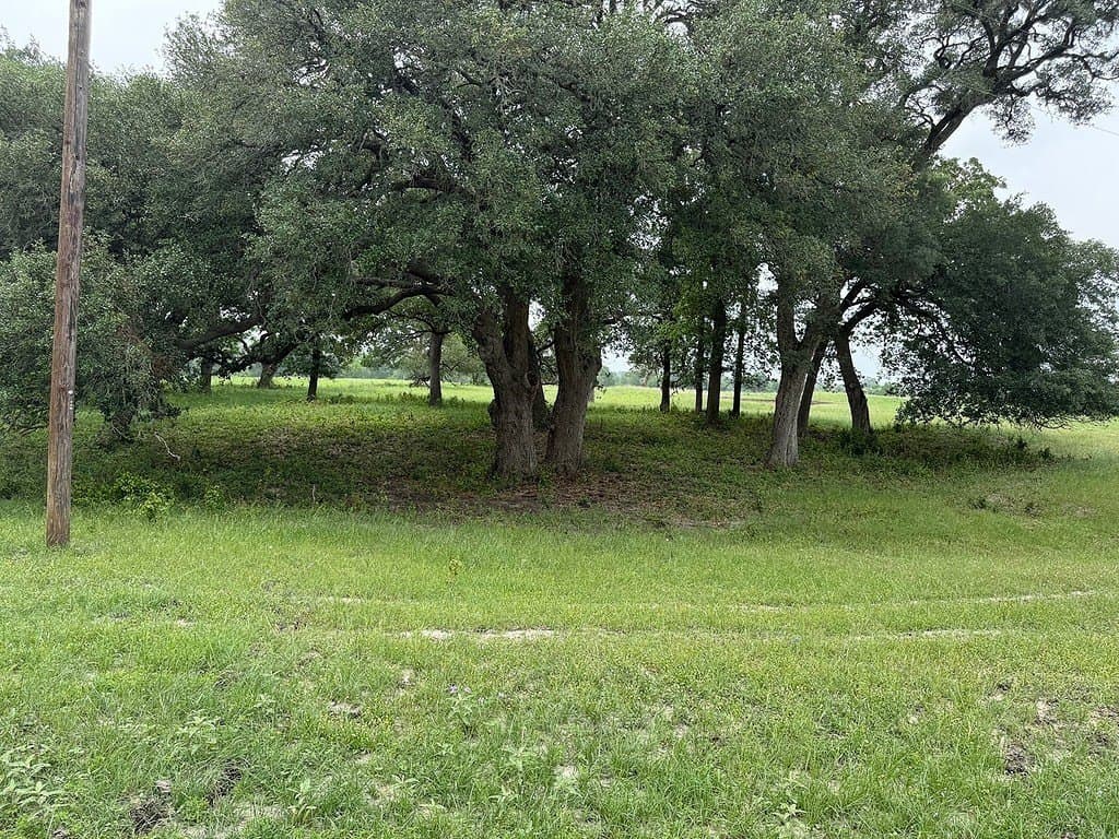 46.98 acres in Fayette County - photo 24