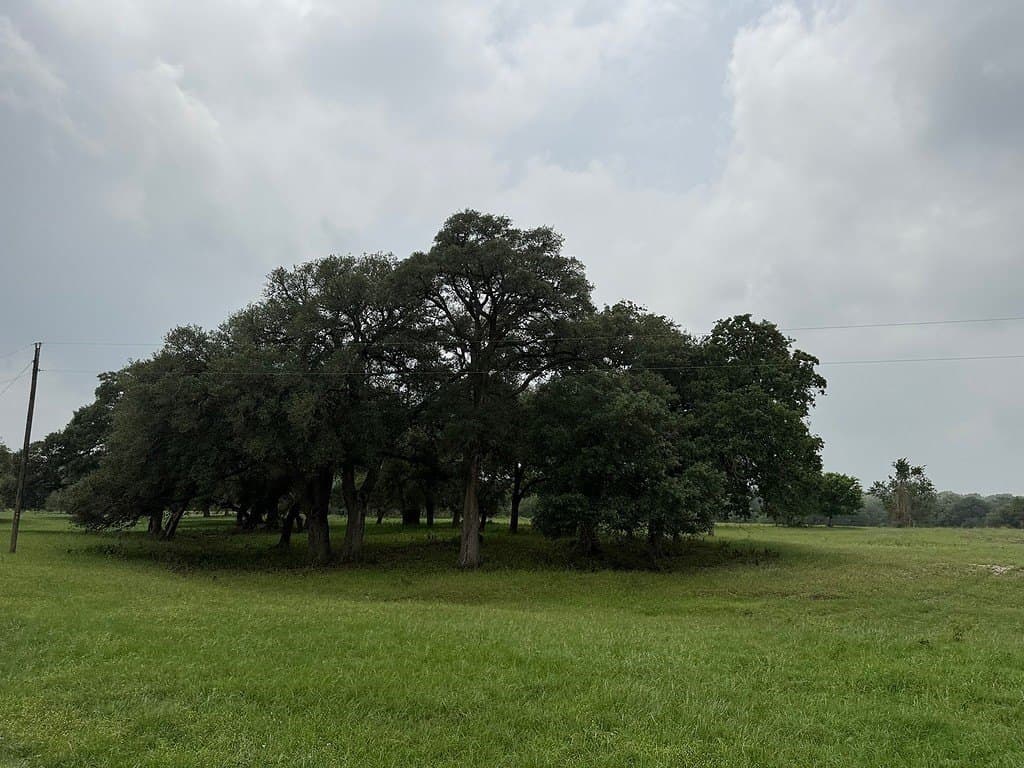 46.98 acres in Fayette County - photo 25