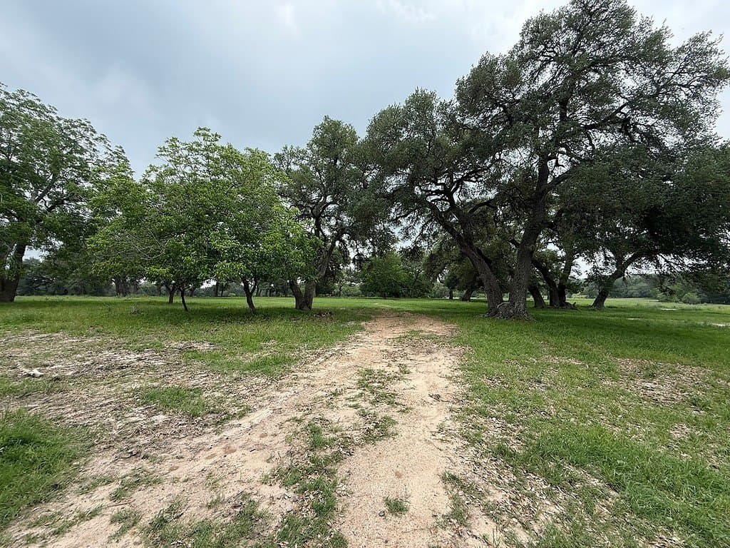 46.98 acres in Fayette County - photo 21