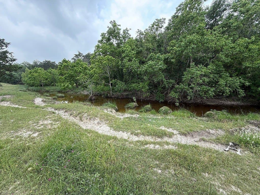 46.98 acres in Fayette County - photo 6