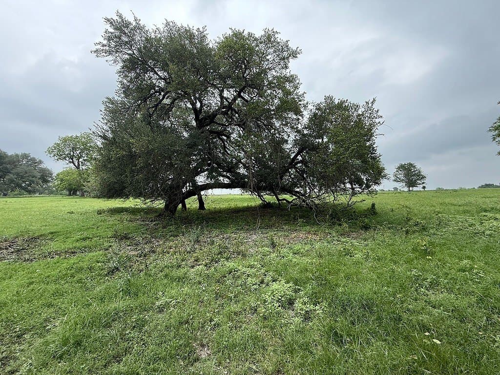 46.98 acres in Fayette County - photo 12