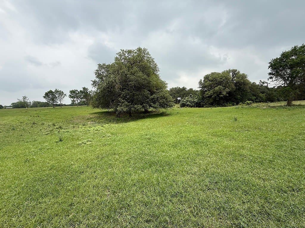 46.98 acres in Fayette County - photo 18