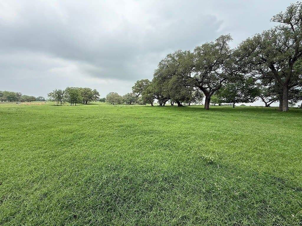 46.98 acres in Fayette County - photo 10