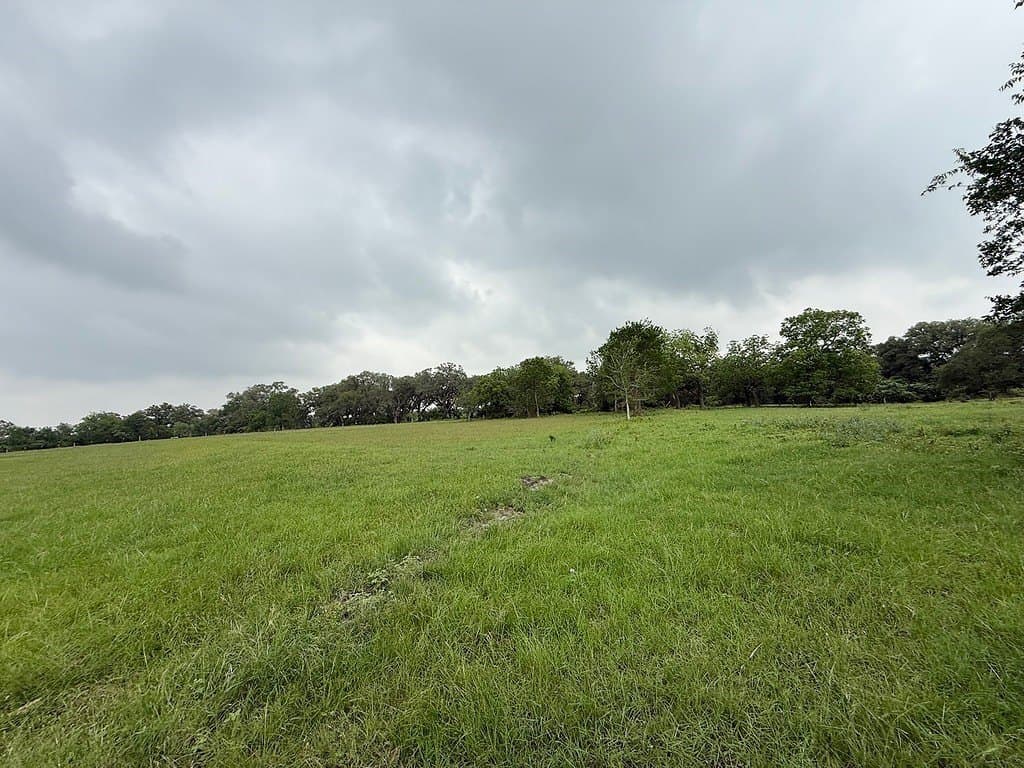 46.98 acres in Fayette County - photo 14
