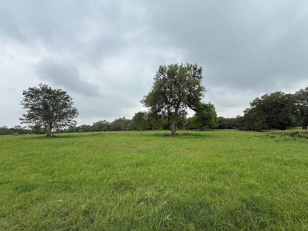 46.98 acres in Fayette County - photo 15