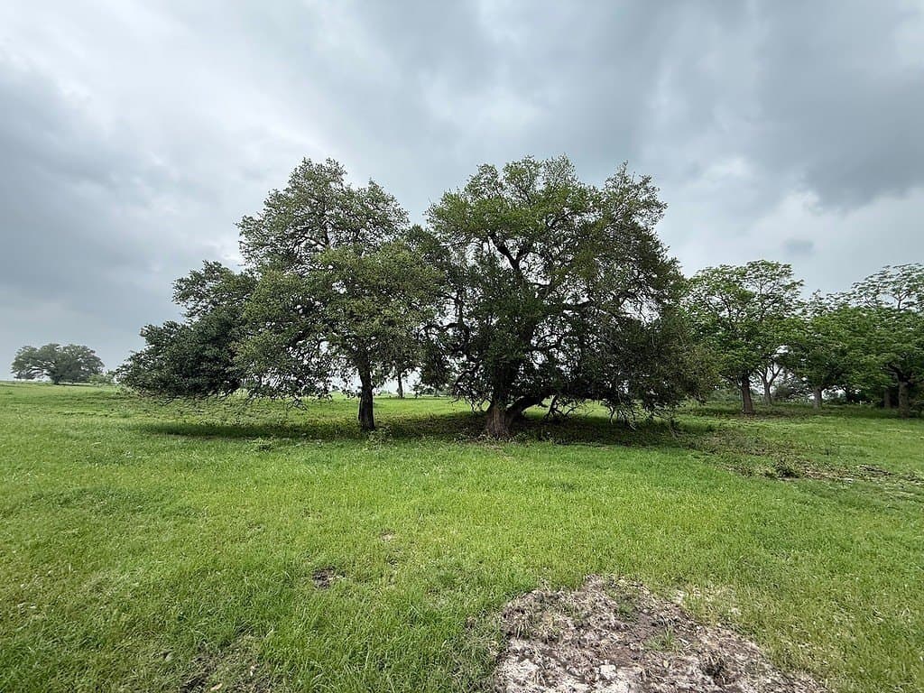 46.98 acres in Fayette County - photo 11