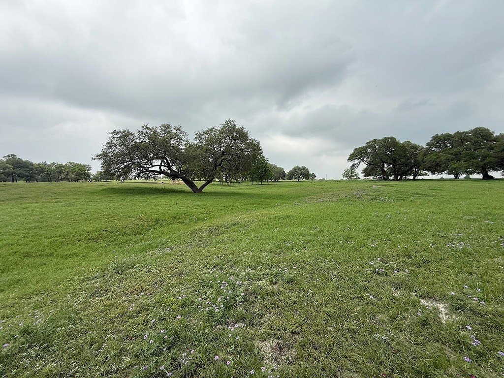 46.98 acres in Fayette County - photo 9