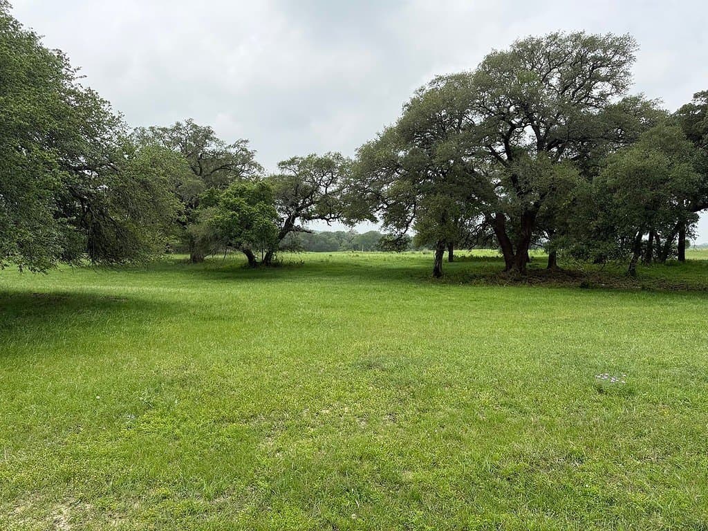 46.98 acres in Fayette County - photo 23