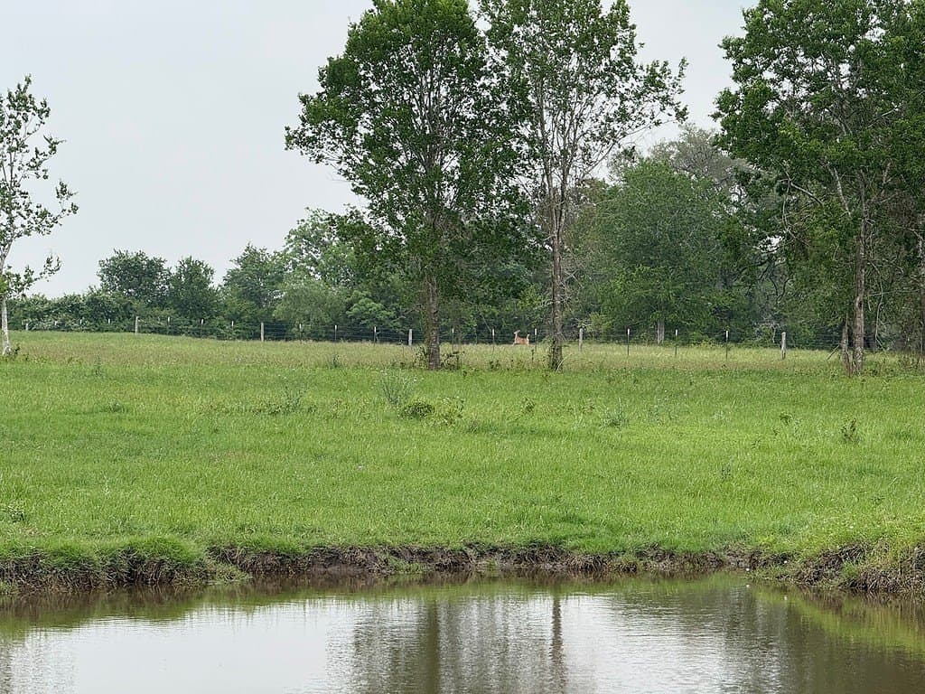 46.98 acres in Fayette County - photo 16