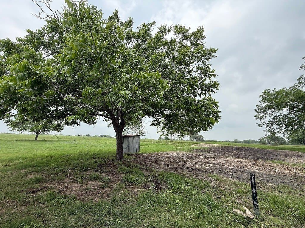 46.98 acres in Fayette County - photo 20