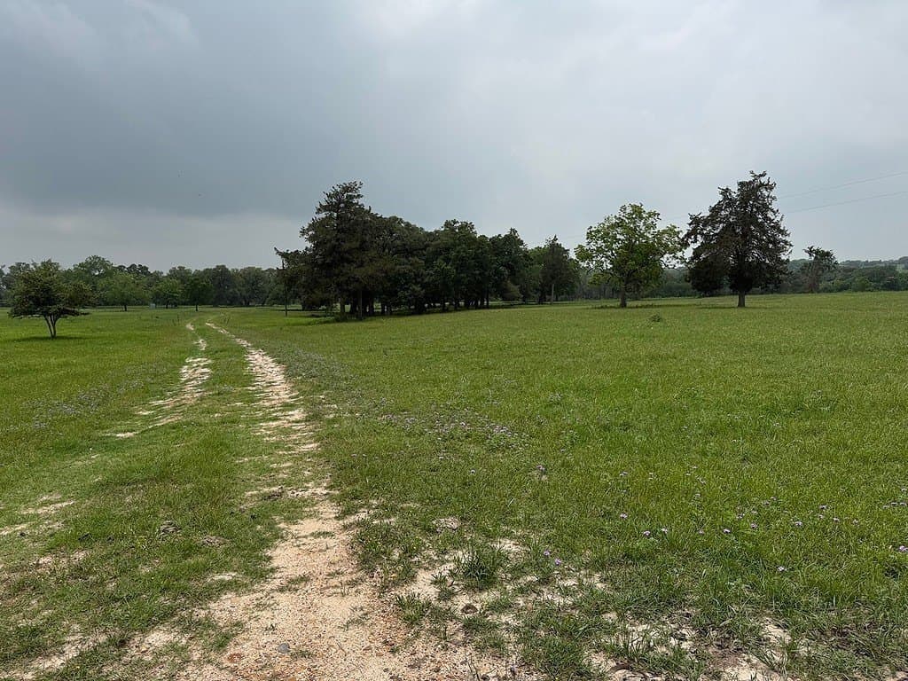 46.98 acres in Fayette County - photo 27