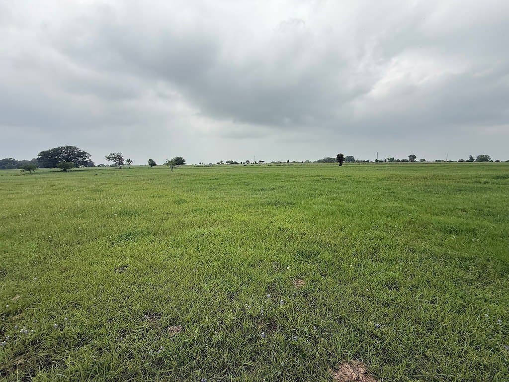 46.98 acres in Fayette County - photo 13