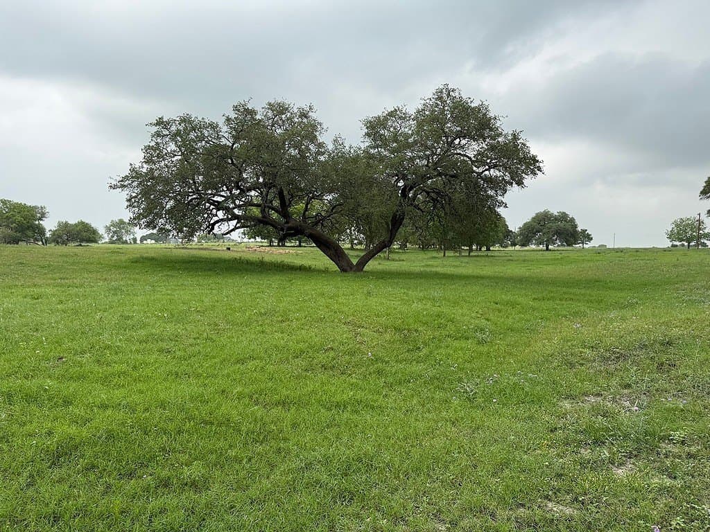 46.98 acres in Fayette County - photo 8