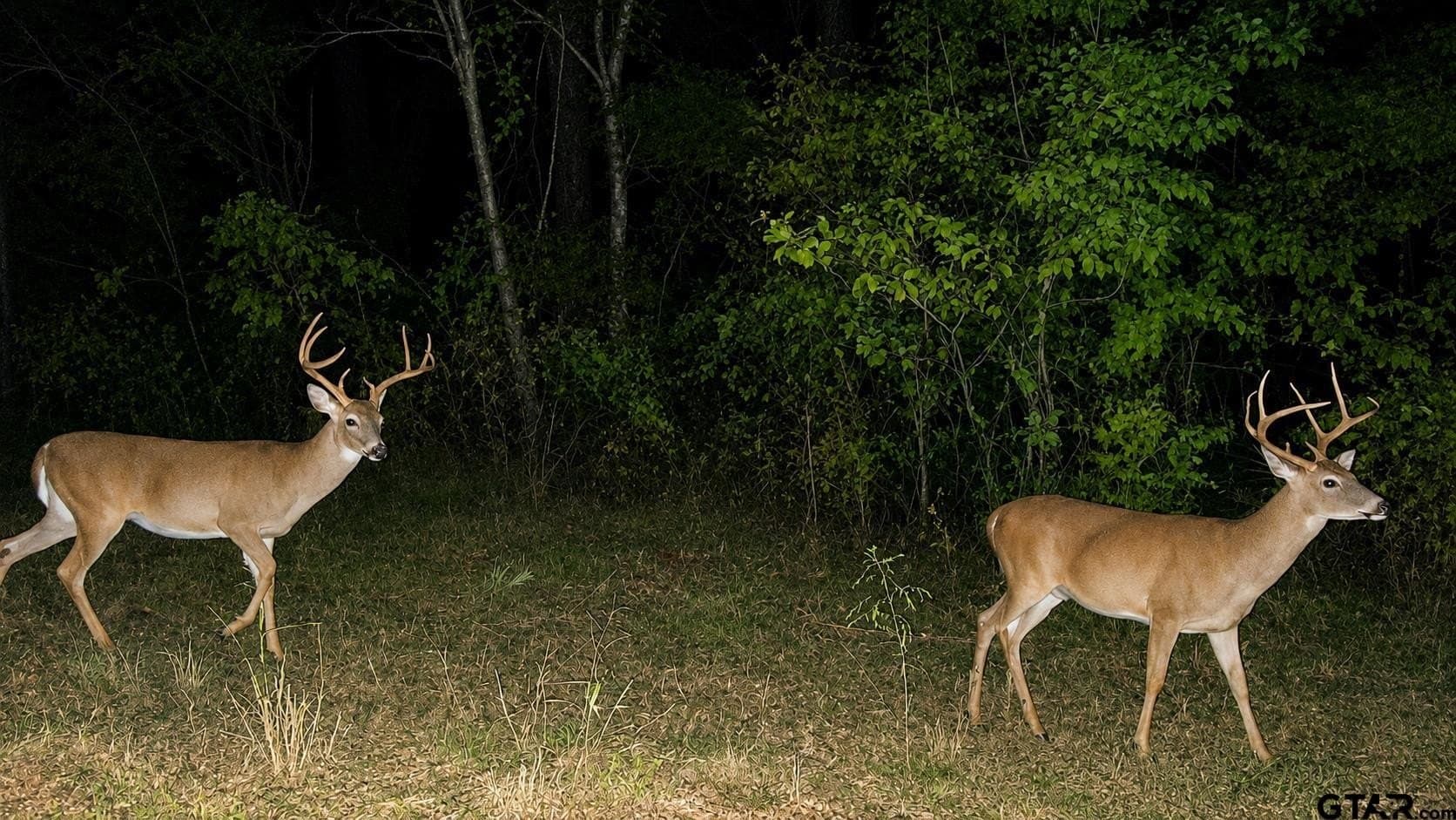 20.91 acres in Smith County - photo 5