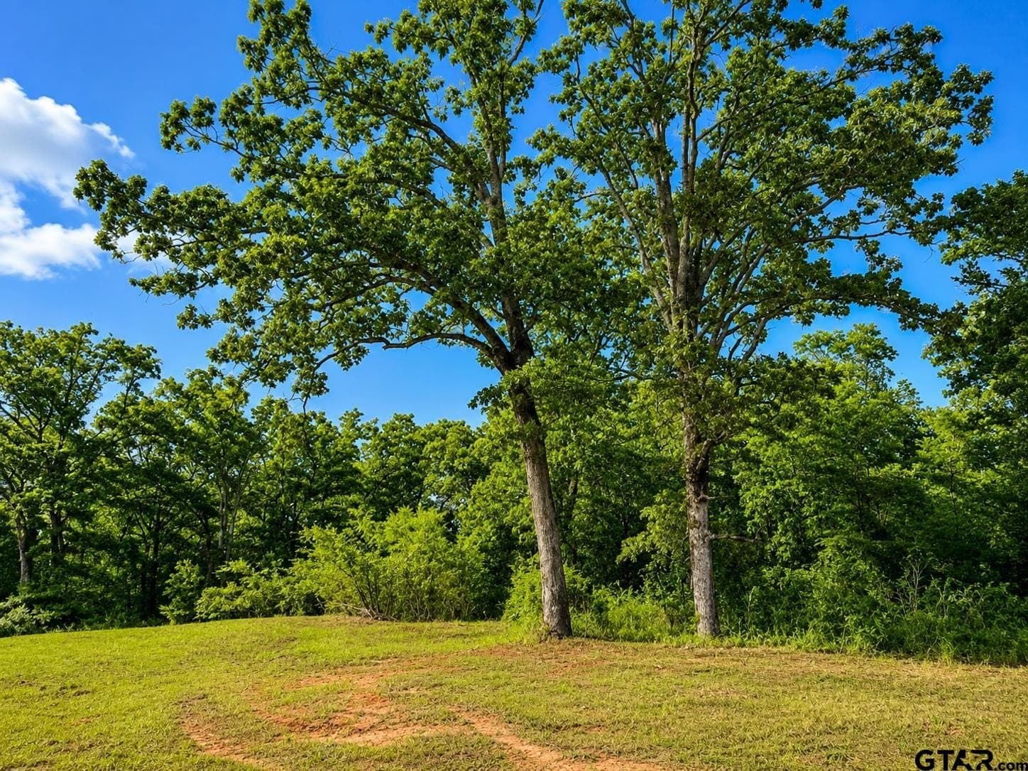 20.91 acres in Smith County