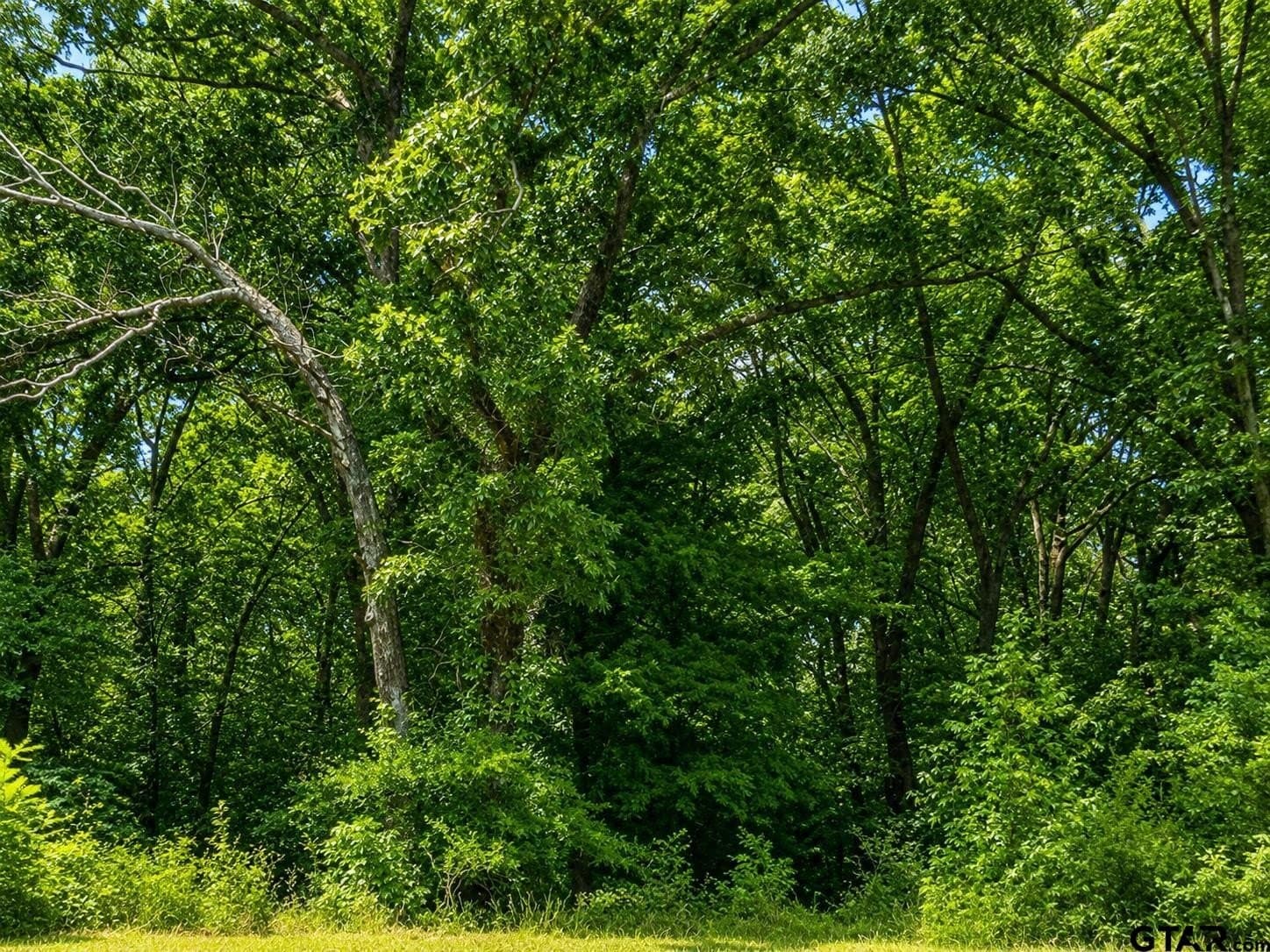 20.91 acres in Smith County - photo 9