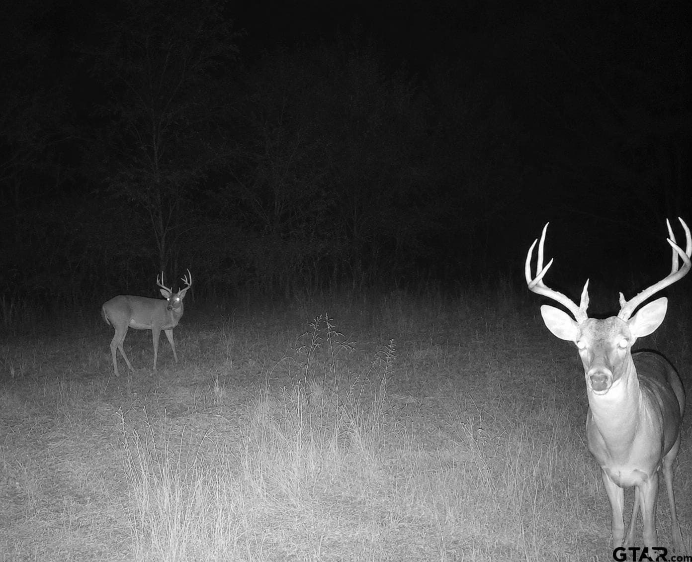 20.91 acres in Smith County - photo 13