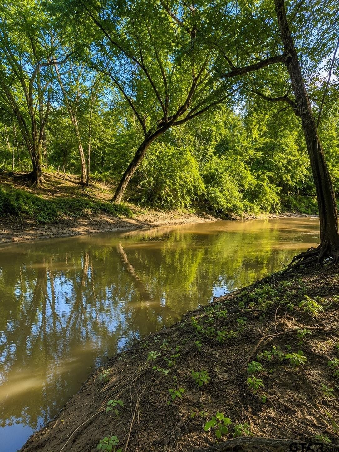 20.91 acres in Smith County - photo 11