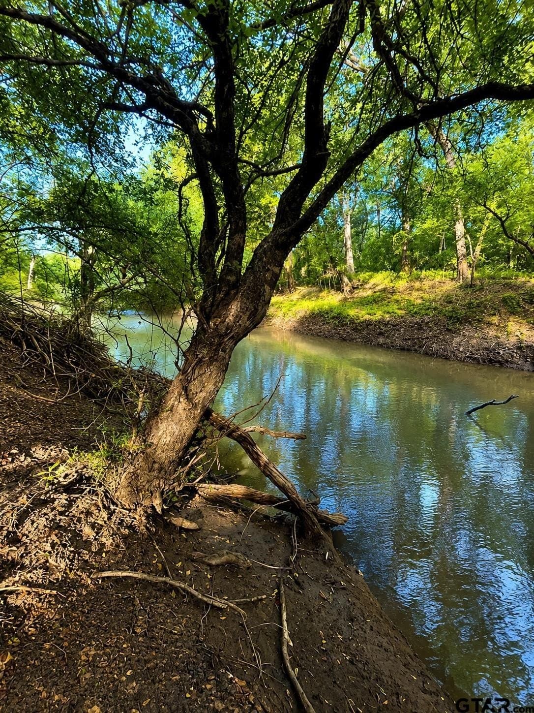 20.91 acres in Smith County - photo 6