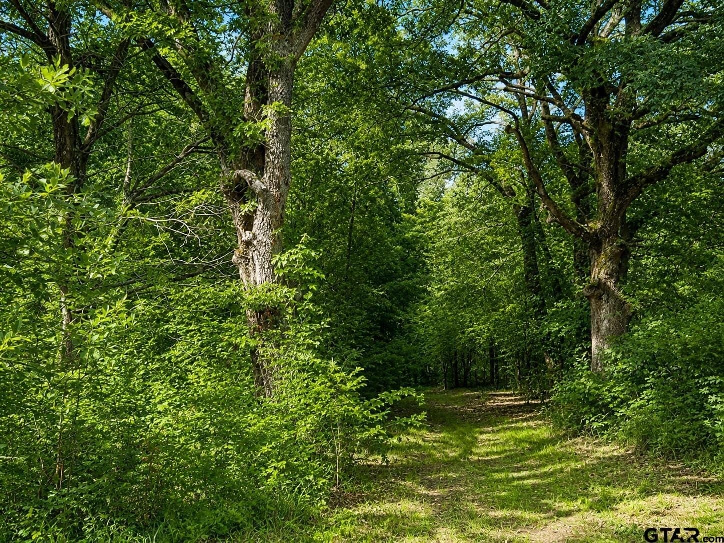 20.91 acres in Smith County - photo 4