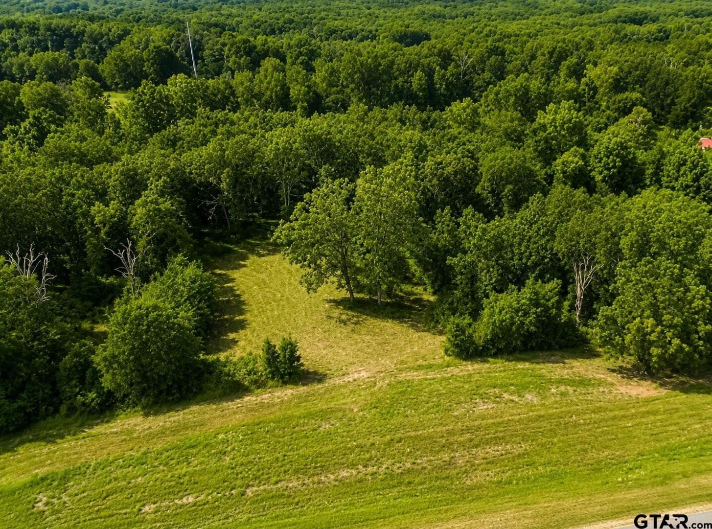 20.91 acres in Smith County - photo 8