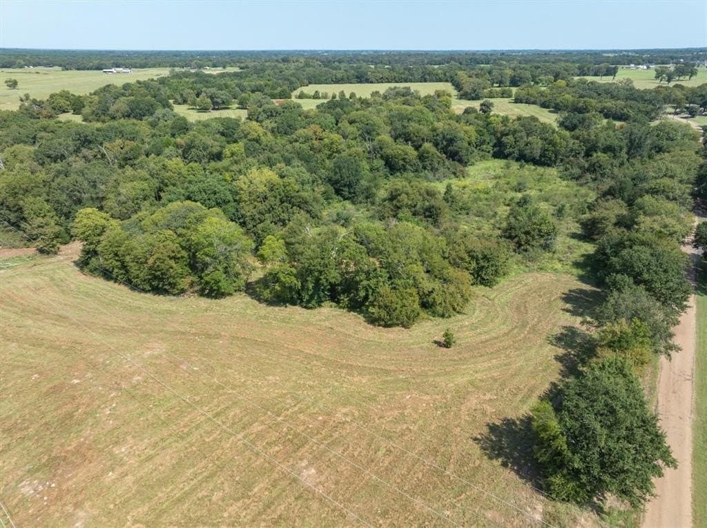 5 acres in Van Zandt County gallery image 4