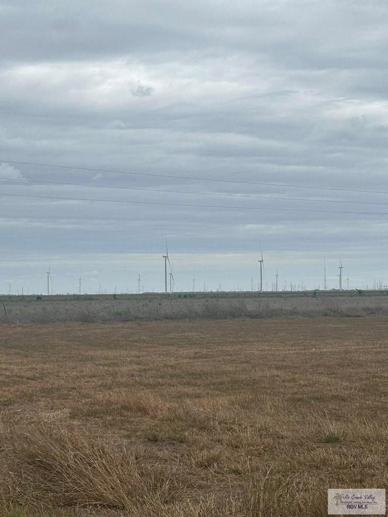 10 acres in CAMERON County gallery image 2