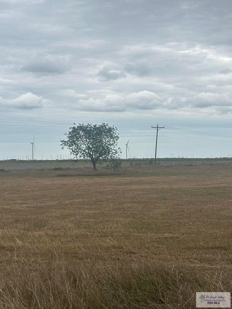 10 acres in CAMERON County gallery image 3