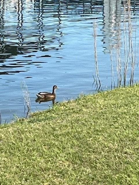 0.4 acres in Hill County featured view