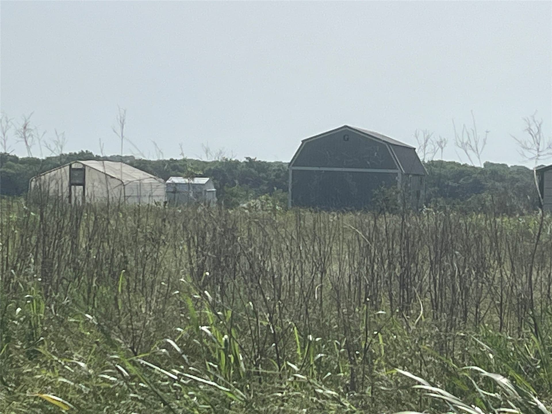 15.34 acres in Hunt County - photo 4