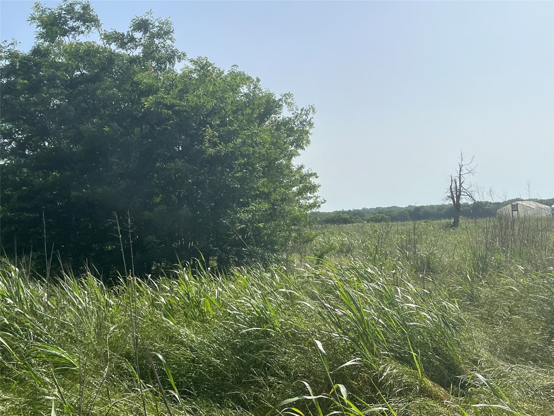 15.34 acres in Hunt County - photo 9