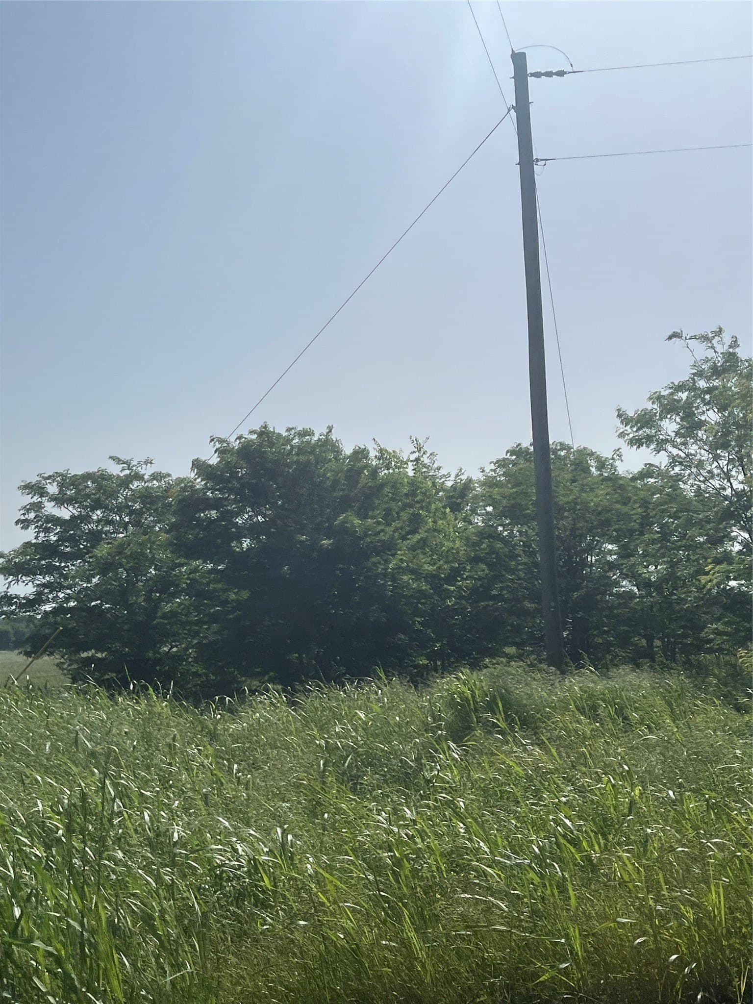 15.34 acres in Hunt County - photo 8
