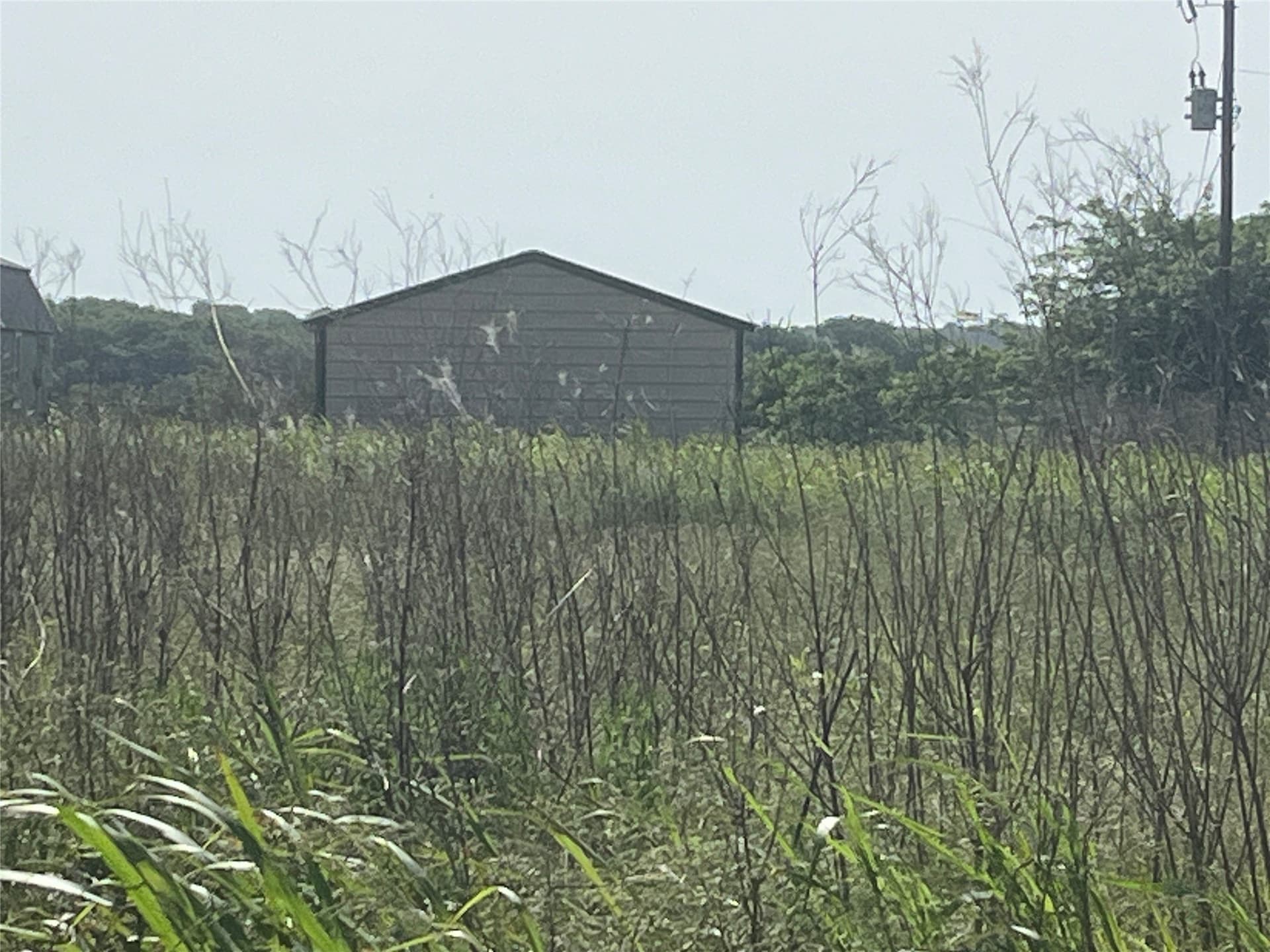15.34 acres in Hunt County - photo 3