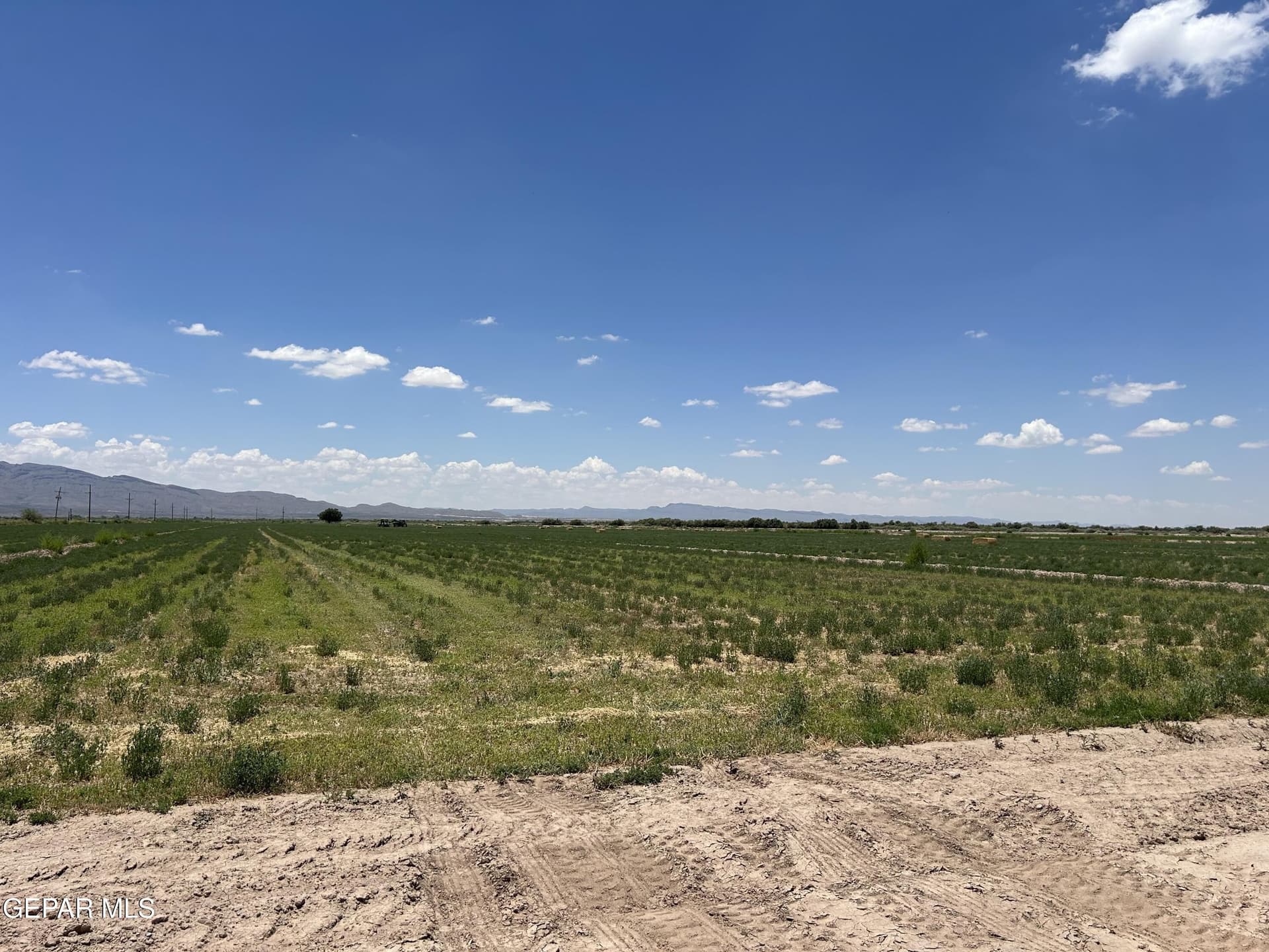 197.78 acres in Hudspeth County gallery image 3