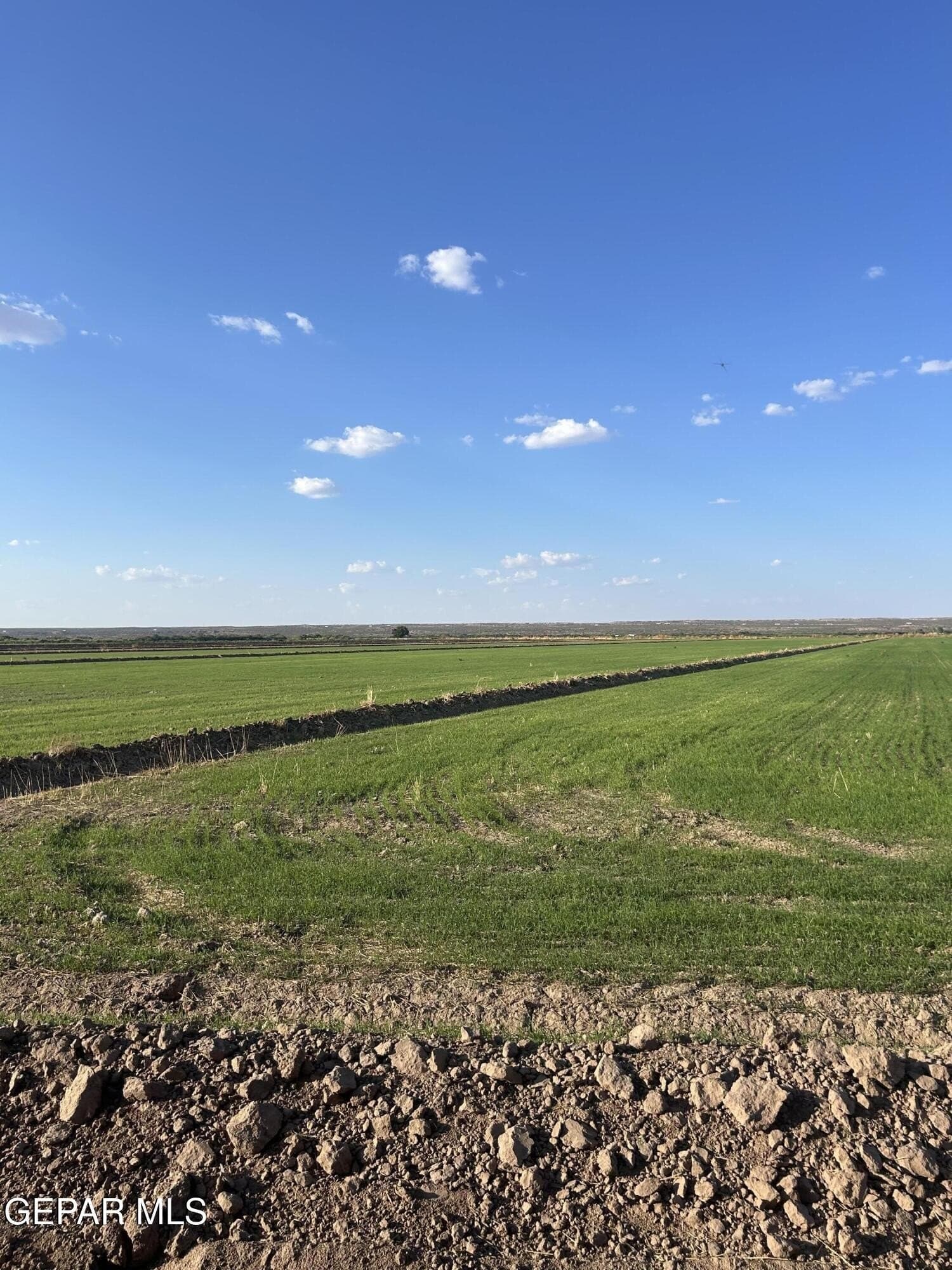 197.78 acres in Hudspeth County - photo 16