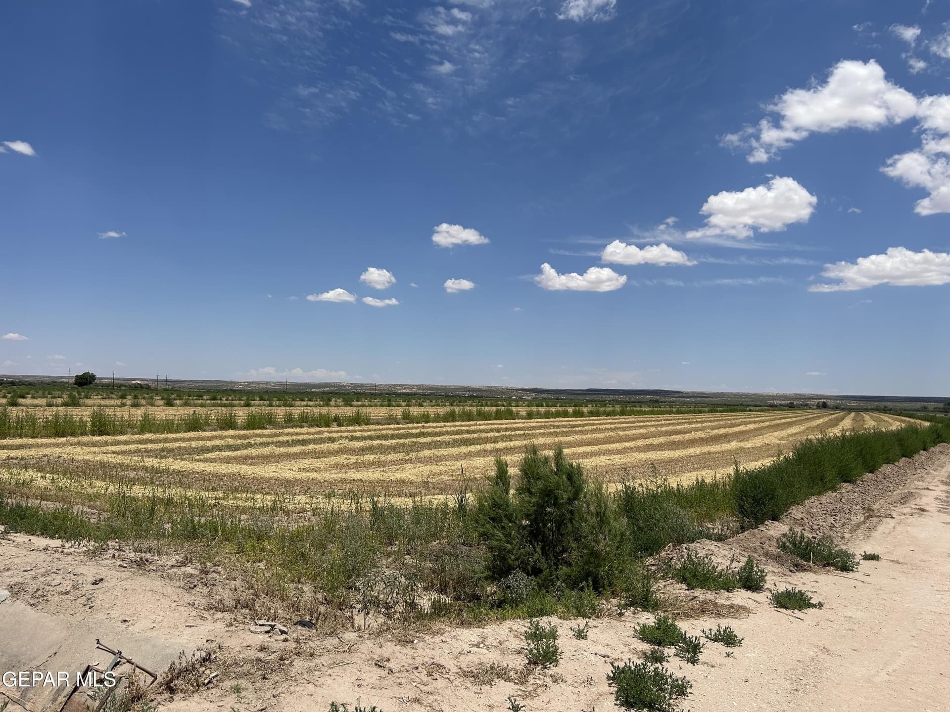 197.78 acres in Hudspeth County - photo 12