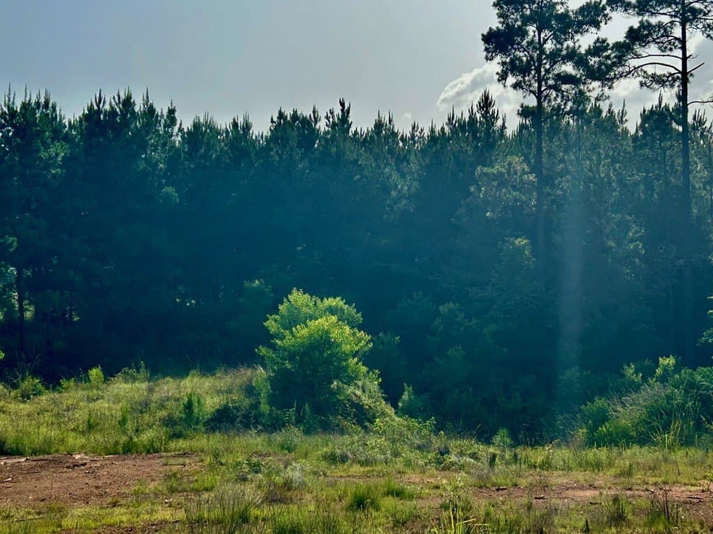10.71 acres in Texas County - photo 4